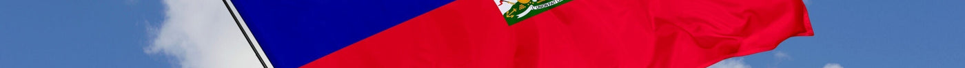 The Haitian Revolution Explained: How Haiti Changed the World