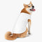 Pet Accessories