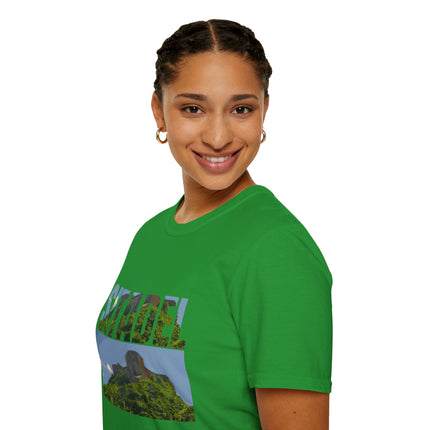 Sitadel  A Bold Tribute to Haiti’s Strength & History - CreoleSizzle