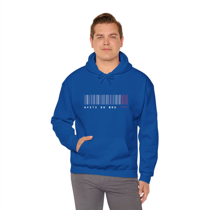 Ayiti Se Nou 1804 Hoodie Haitian Heritage Unisex Sweatshirt Unisex Heavy Blend™ Hooded Sweatshirt - CreoleSizzle