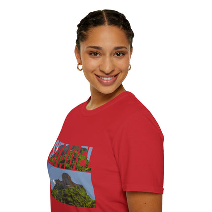 Sitadel  A Bold Tribute to Haiti’s Strength & History - CreoleSizzle
