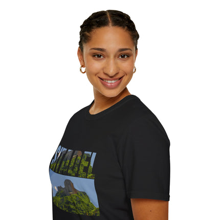Sitadel  A Bold Tribute to Haiti’s Strength & History - CreoleSizzle