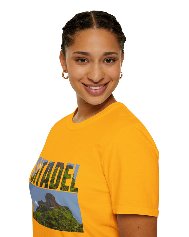 Sitadel  A Bold Tribute to Haiti’s Strength & History - CreoleSizzle