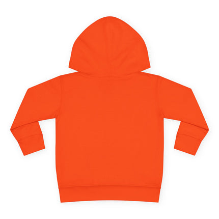 Haitian Pride Toddler Hoodie GTA-Inspired Flag Design Cozy Fleece Pullover Cultural Heritage Kidswear