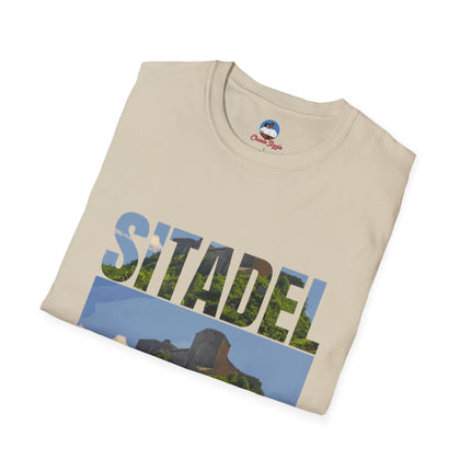 Sitadel  A Bold Tribute to Haiti’s Strength & History - CreoleSizzle