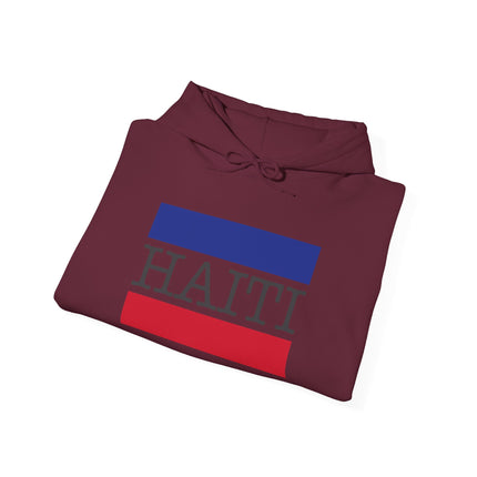 Haiti Pride Badge National Heritage Hoodie Everyday Haiti Collection Unisex Heavy Blend, Casual Wear, and Cultural Events