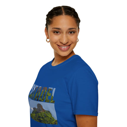 Sitadel  A Bold Tribute to Haiti’s Strength & History - CreoleSizzle